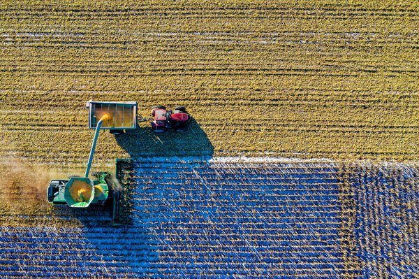 How can AI and IoT enhance the efficiency and sustainability of smart farms?